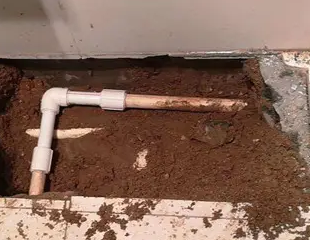 德清测漏水哪家好