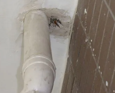 德清漏水检测哪家好